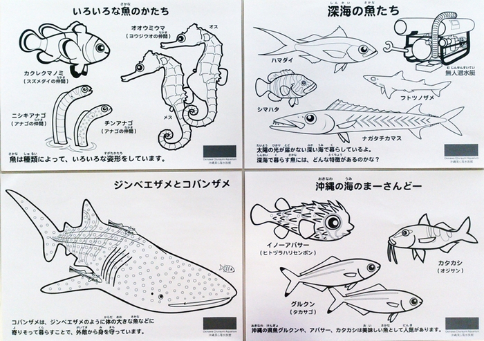 美ら海ぬりえ教室