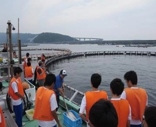 近畿大学水産研究所&#215;近畿大学附属新宮高校　高校生が「近大マグロ」のふ化を観察