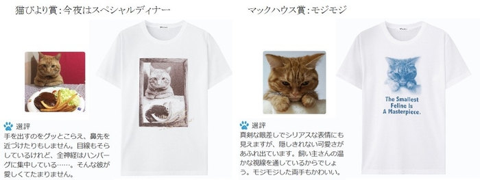 ・いやしネコ大賞フォトTシャツ 限定販売開始