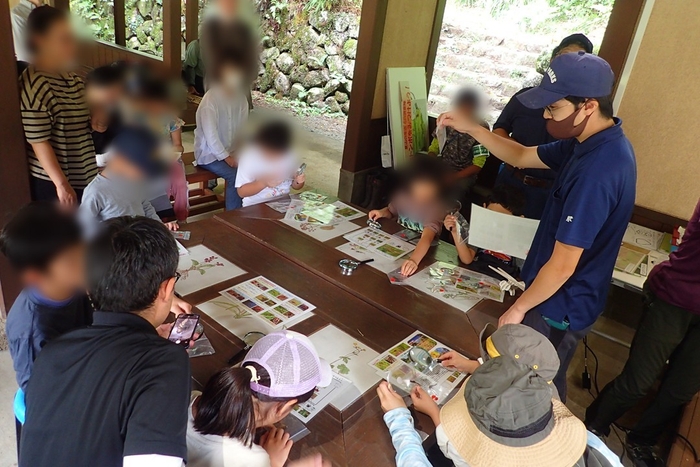 このトンボの名前はなにかな?