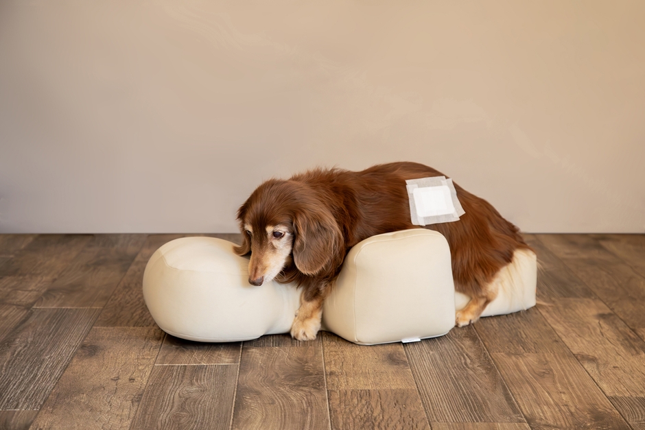 床ずれ防止イメージ