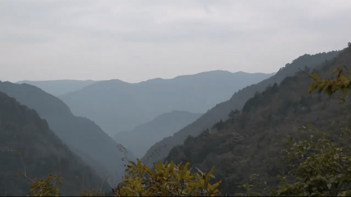 大川村の風景