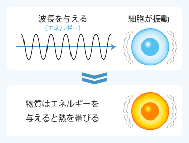 振動による活性化