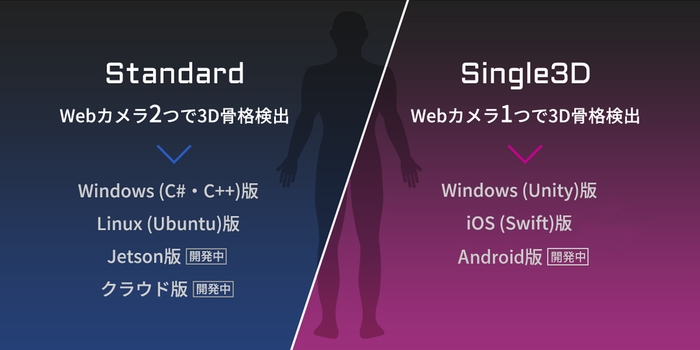 VisionPose全体像