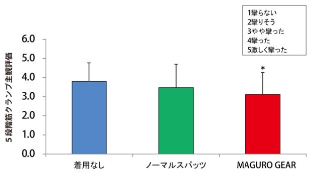 図2 被験者の主観評価