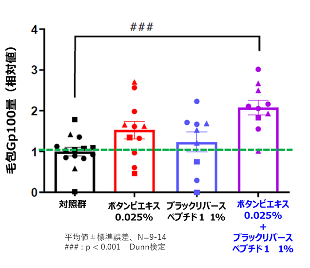 図２．毛包におけるGp100量への影響