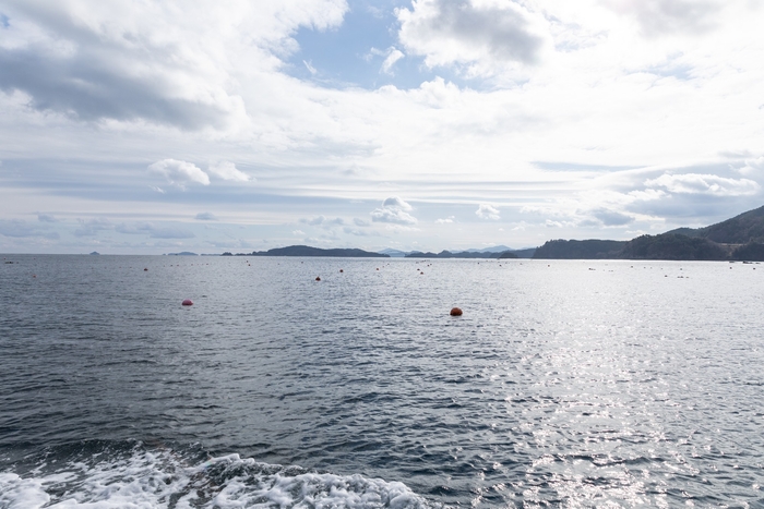 豊かな三陸の海で育まれる牡蠣は濃厚な味わい