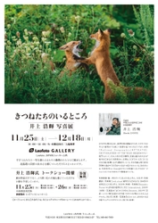 写真家 井上浩輝の写真展「きつねたちのいるところ」を レオフォトショールームにて11月25日(土)～12月18日(月)開催！