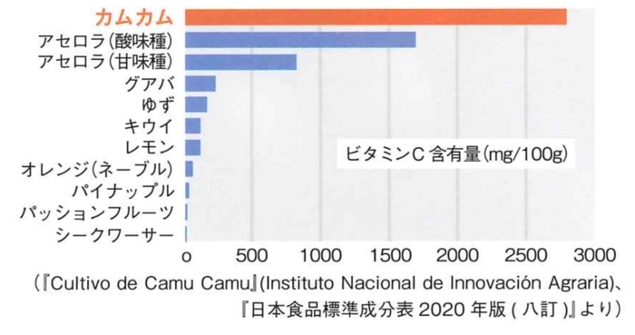 カムカムは世界一ビタミンCを含む果実