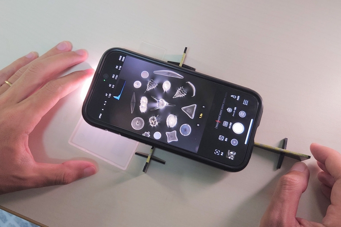 放散虫(MH-X250Pで観察)