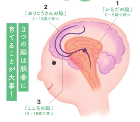 「賢い脳」は脂が9割　 学力より“地頭力” ―10年後の未来に差がつく 『育脳ごはん』の新常識　 ～カギは “毎日のオメガ3” 脳は食べ方で変えられる～