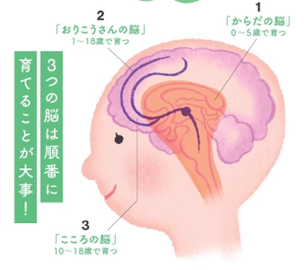 「賢い脳」は脂が9割　 学力より“地頭力” ―10年後の未来に差がつく 『育脳ごはん』の新常識　 ～カギは “毎日のオメガ3” 脳は食べ方で変えられる～