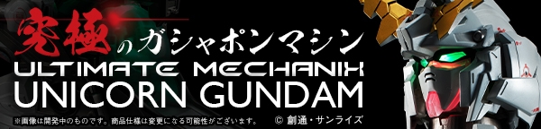 ULTIMATE MECHANIX -UNICORN GUNDAM- (2)