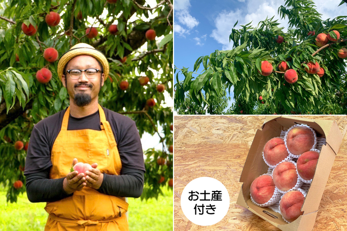 中野市でプラム・桃・りんご・ぶどうを栽培している三井農園さんで、ドローン撮影や桃狩りも。