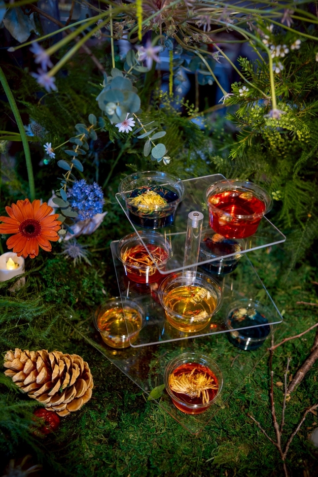 Maison De l'Oiseau 2