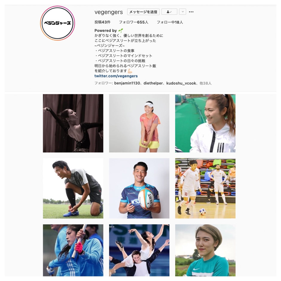 ベジンジャーズ Instagramイメージ
