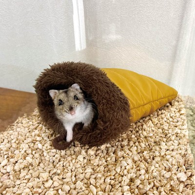 そのまま置いて