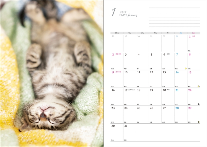 気まぐれニャンコ-4