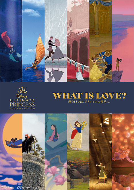 ディズニーのプリンセス展しおり ディズニープリンセス展 WHAT IS LOVE？ 〜輝くヒミツは、プリンセスの