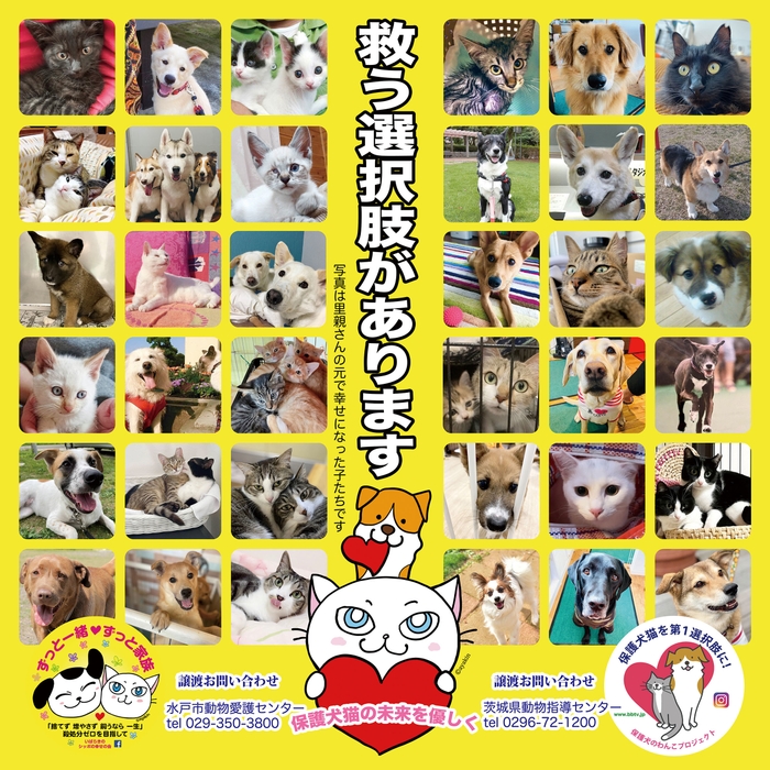 車外側面啓発ポスター
