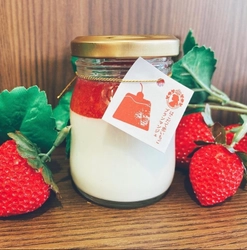 函館初のはこだて恋いちごを活かした いちごスイーツ専門店“はこだて恋いちご洋菓子店”が 真っ白なブランマンジェの通信販売開始！