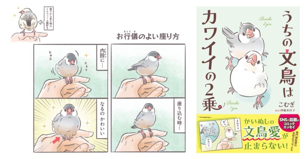 「文鳥界隈」から圧倒的共感! SNSで話題のコミックエッセイ『うちの文鳥はカワイイの2乗』9/28発売 「わかる!」の嵐を呼んだ4コマ漫画が、加筆修正&描き下ろしを加えて待望の書籍化