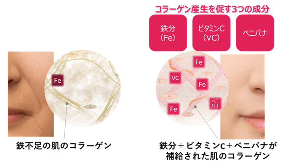 イメージ図　鉄分＋ビタミンC＋ベニバナの肌への影響