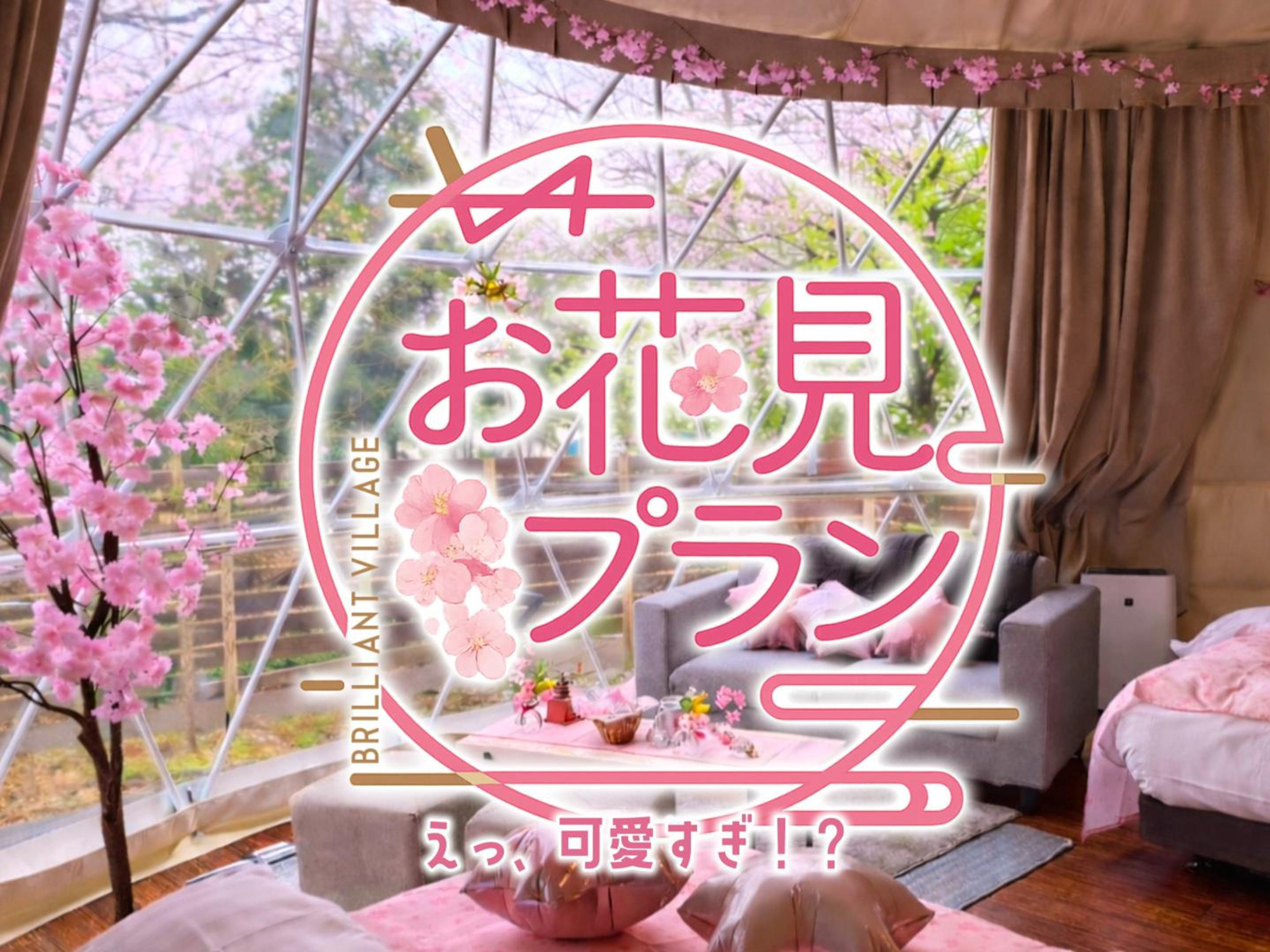 1日1棟限定＞ 花粉・寒さゼロの 「インドアお花見」×「夜桜BBQ」でW