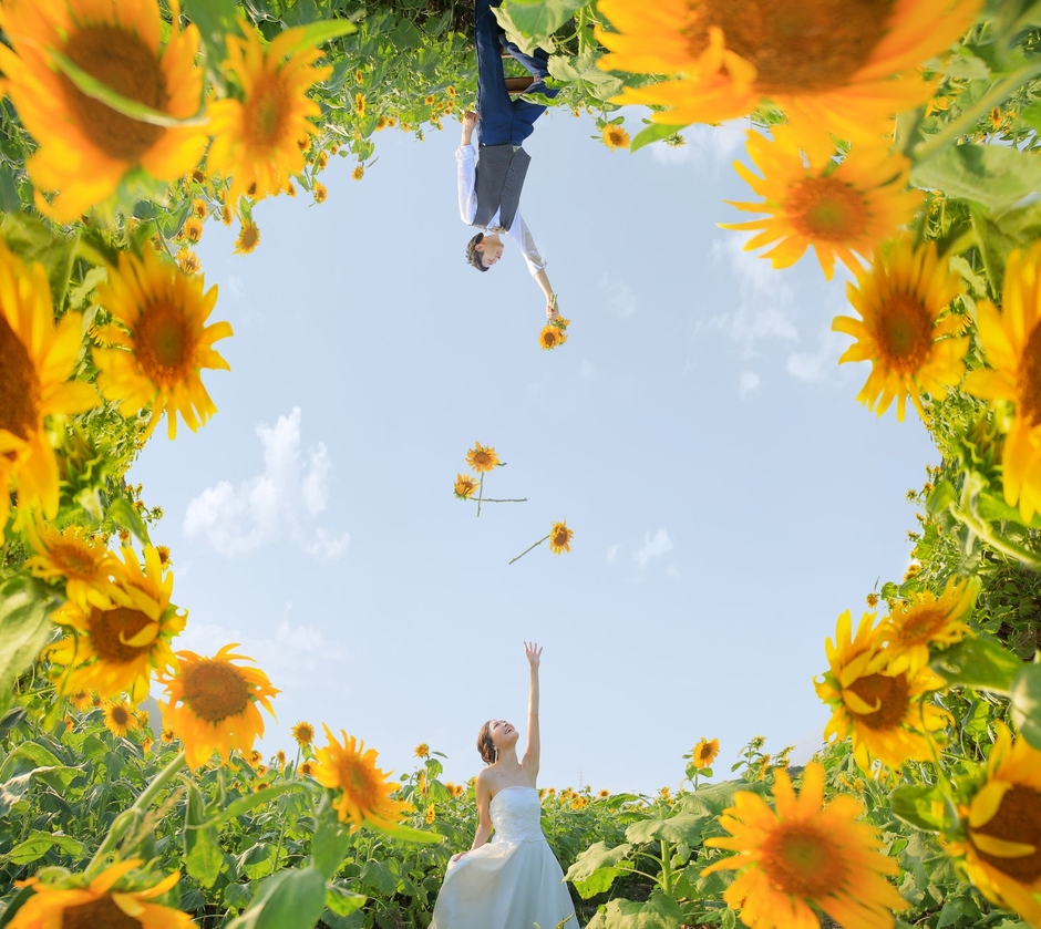 ひまわり畑での前撮りが想像越えのアートに!
