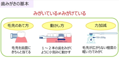 オーラルケア社内研修プログラムを実施　 当社新入社員の約7割以上が1日3回歯みがき、 フロス・洗口剤使用が習慣化