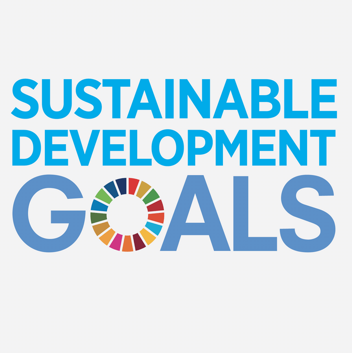 SUSTAINABLE DEVELOPMENT GOALS