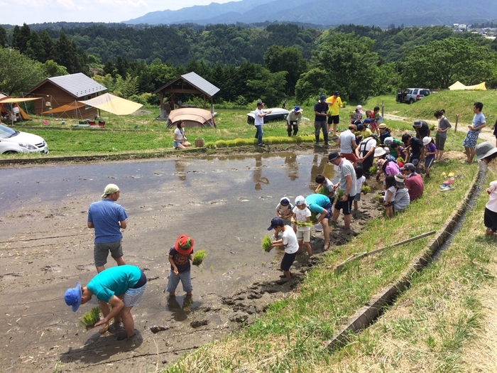 人気の田植えイベント