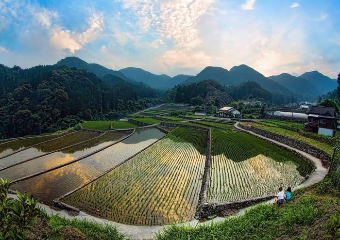 東峰村／棚田