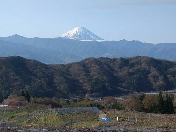ロケーション
