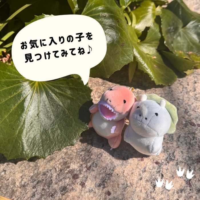 お気に入りの子を探してみてね♪