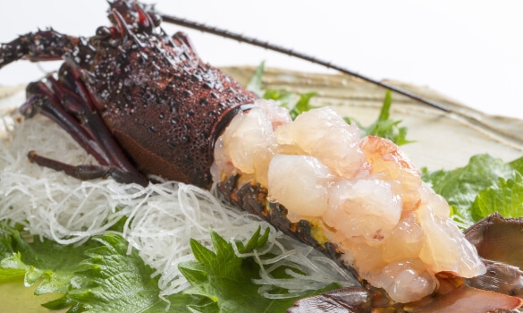 南房総が誇る房州えび(伊勢海老)