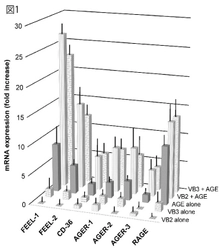 抗ウイルス作用のVBに新展開　 VBの主成分による皮膚に対する抗老化作用を確認