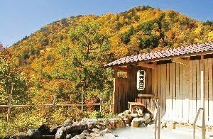 紅葉と温泉(ゆこゆこ)