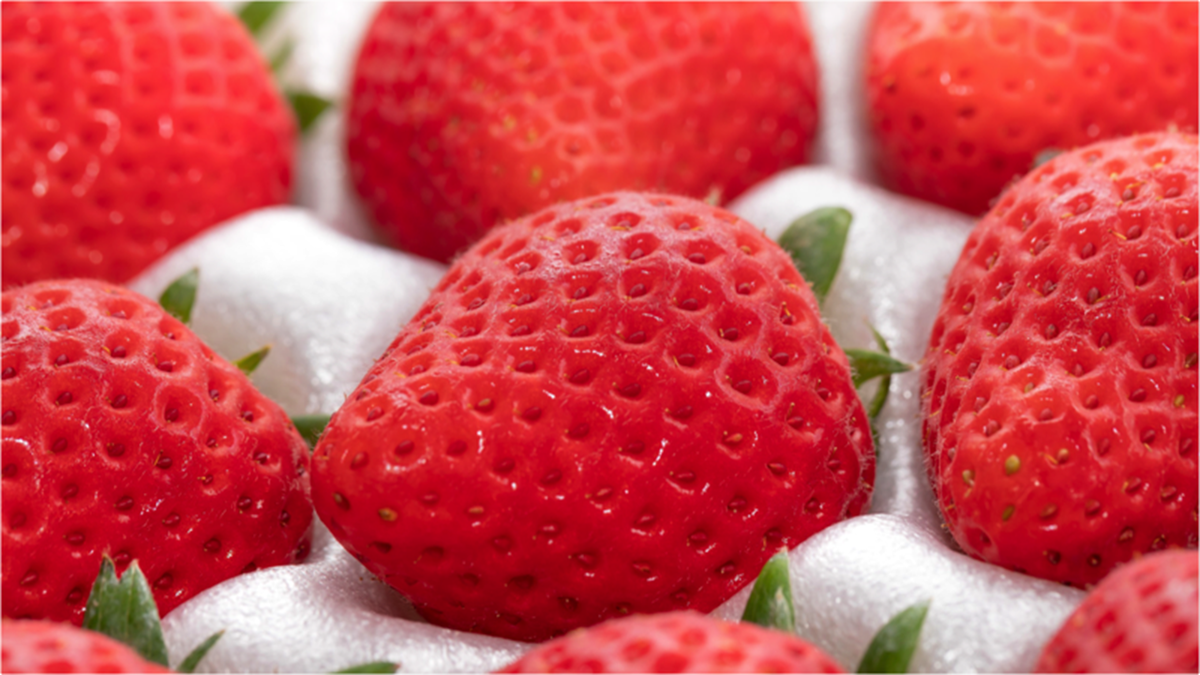 ふるさと納税で生産者を支援する「ニコニコエール品」を徹底調査|半額相当の返礼品も