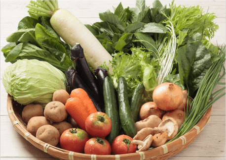 新鮮野菜あじわいコースは初回限定価格で1,980円