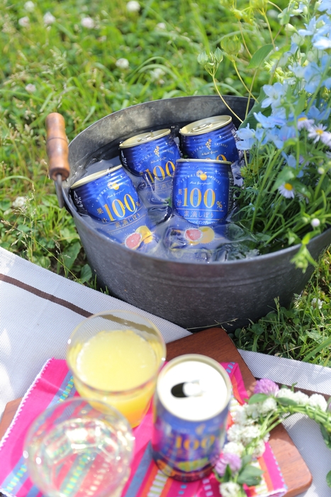 素滴しぼり果汁100%イメージ2