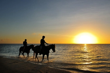 【星のや沖縄】夕陽に輝く自然海岸で乗馬体験「いりふぃー海乗馬(うみじょうば)」を提供　期間：2021年6月1日～8月31日