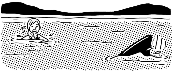 サメに遭遇したら? 1
