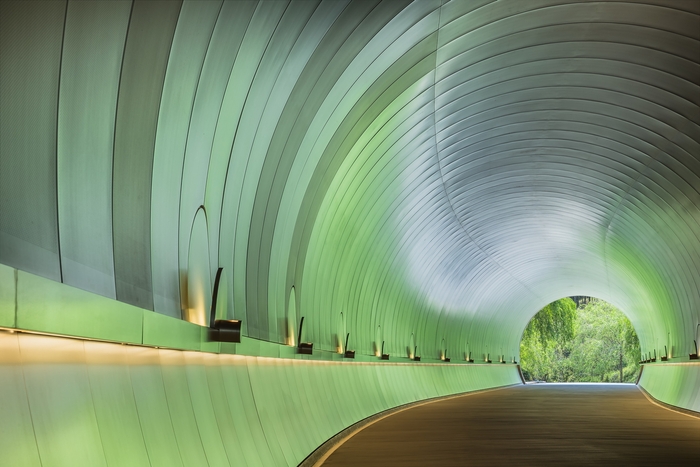 新緑に染まるトンネル