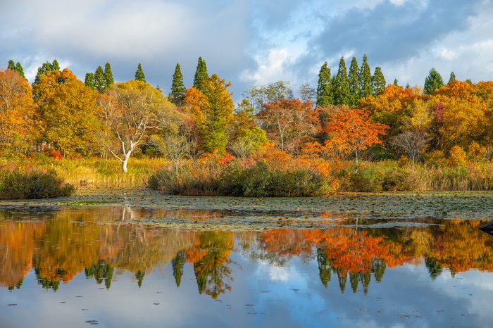 ホテルから徒歩2分のいもり池（紅葉の目安は10月下旬ごろ）