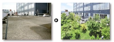 before/after