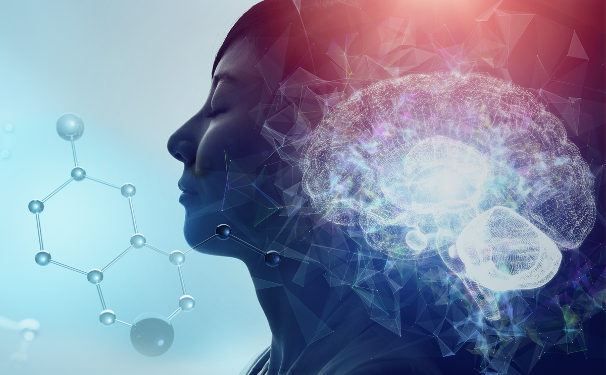 【名城大学】幻覚剤の、抗うつ薬としてのメカニズムと可能性を探る NEWSCAST