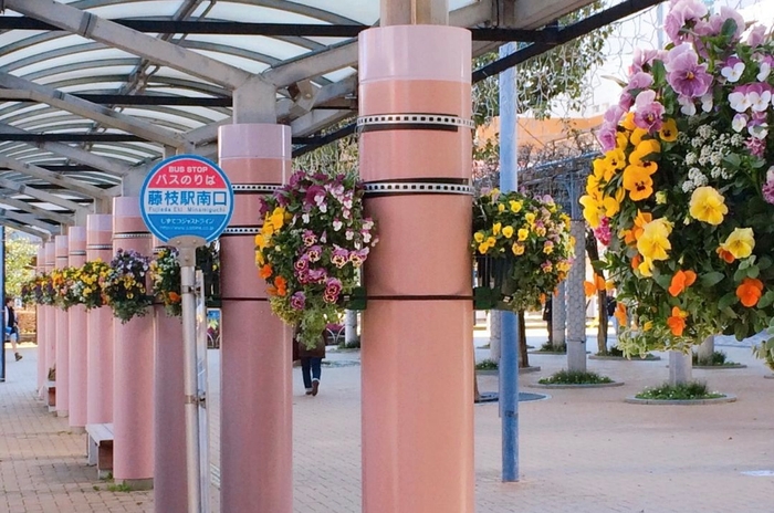 藤枝市駅前ハンギングバスケット設置