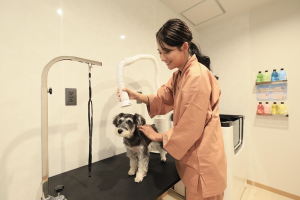 4種類のシャンプー&リンスや復元ドライヤーを完備の<トリミング&ドライルーム>