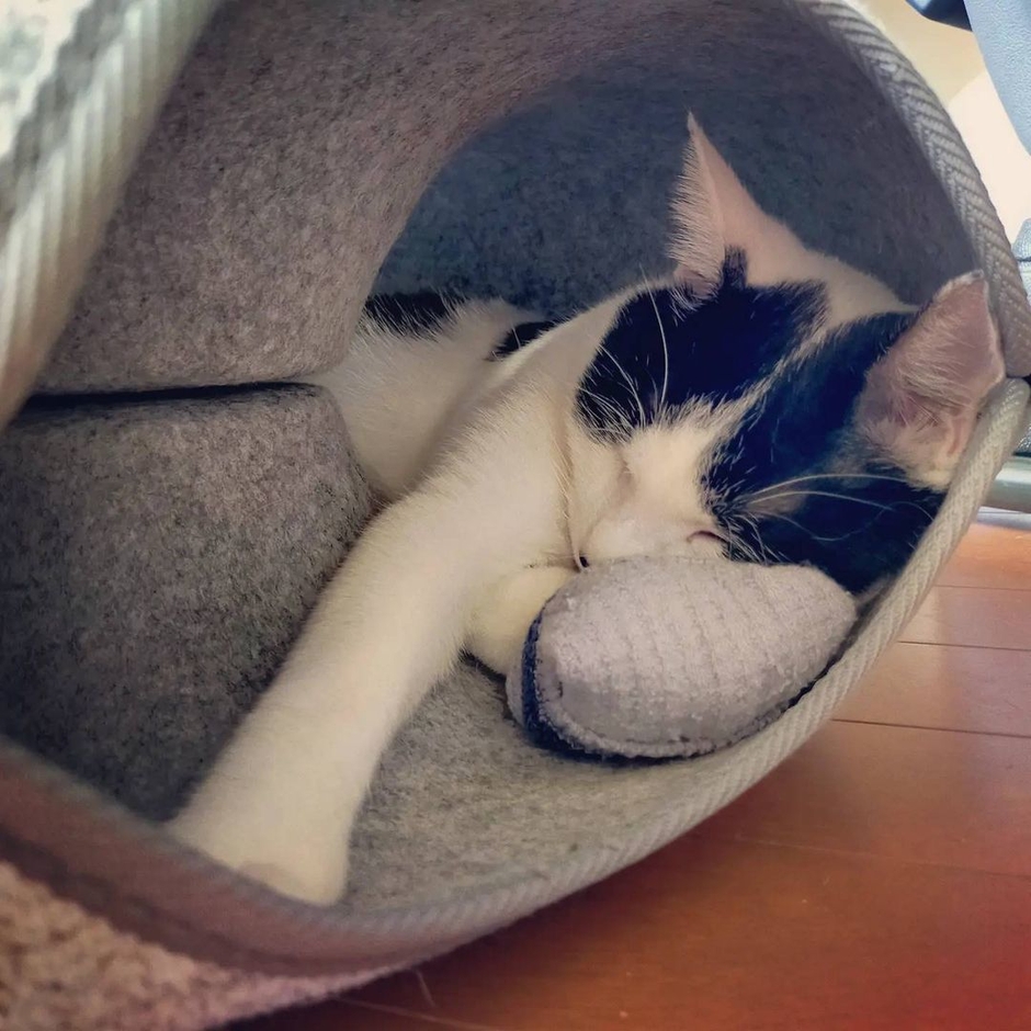 ユーザー様写真8